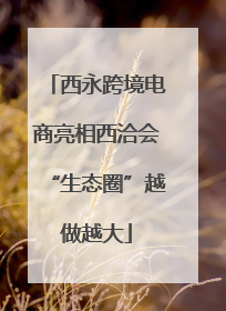 西永跨境电商亮相西洽会“生态圈”越做越大