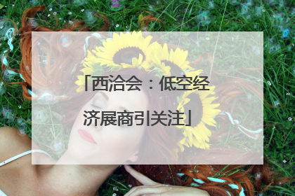 西洽会：低空经济展商引关注
