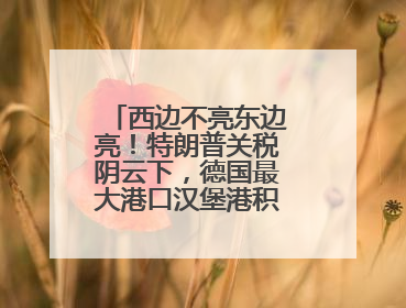 西边不亮东边亮！特朗普关税阴云下，德国最大港口汉堡港积极“向东看”