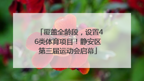 覆盖全龄段，设置46类体育项目！静安区第三届运动会启幕