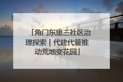 角门东里三社区治理探索｜代建代管推动荒地变花园