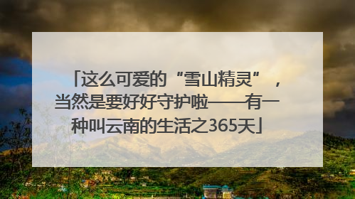这么可爱的“雪山精灵”，当然是要好好守护啦——有一种叫云南的生活之365天