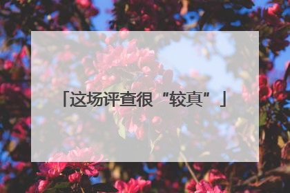 这场评查很“较真”
