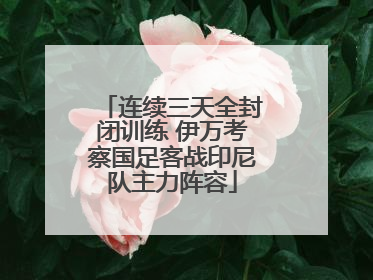 连续三天全封闭训练 伊万考察国足客战印尼队主力阵容