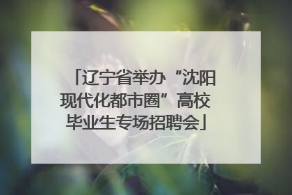 辽宁省举办“沈阳现代化都市圈”高校毕业生专场招聘会