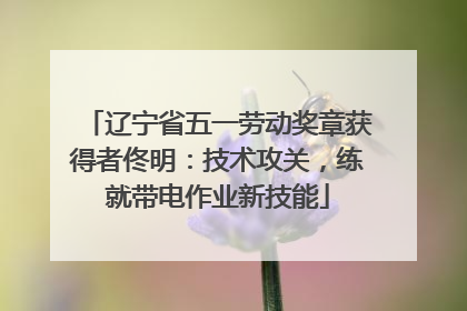 辽宁省五一劳动奖章获得者佟明：技术攻关，练就带电作业新技能