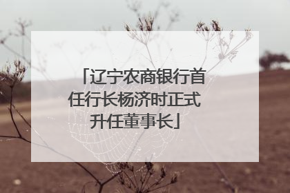 辽宁农商银行首任行长杨济时正式升任董事长