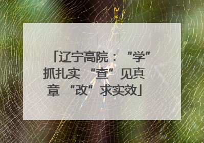辽宁高院：“学”抓扎实 “查”见真章 “改”求实效