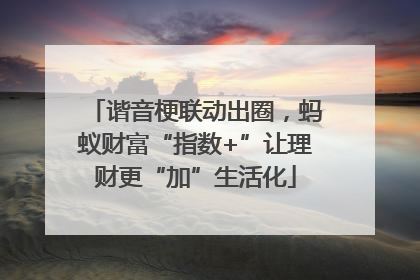 谐音梗联动出圈，蚂蚁财富“指数+”让理财更“加”生活化