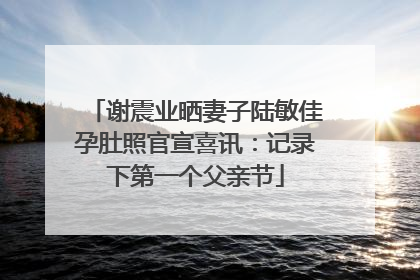 谢震业晒妻子陆敏佳孕肚照官宣喜讯：记录下第一个父亲节