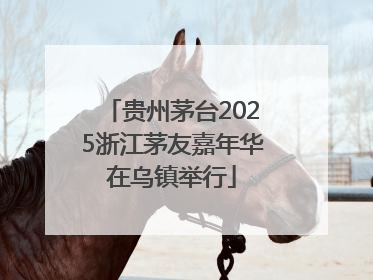 贵州茅台2025浙江茅友嘉年华在乌镇举行