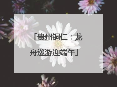 贵州铜仁：龙舟巡游迎端午
