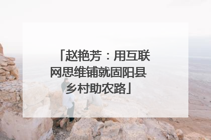 赵艳芳：用互联网思维铺就固阳县乡村助农路