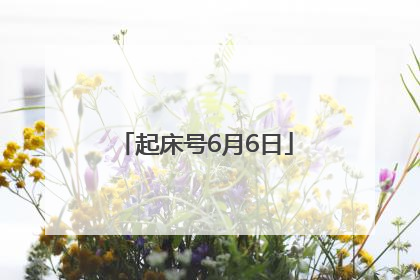 起床号6月6日