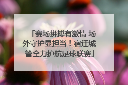 赛场拼搏有激情 场外守护显担当！宿迁城管全力护航足球联赛