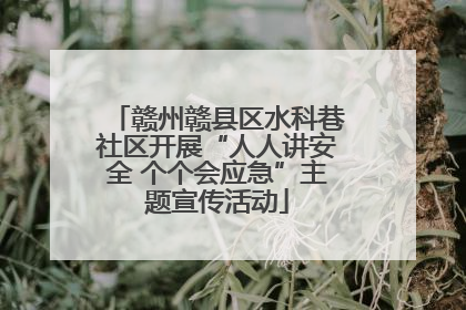 赣州赣县区水科巷社区开展“人人讲安全 个个会应急”主题宣传活动
