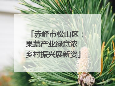 赤峰市松山区：果蔬产业绿意浓 乡村振兴展新姿