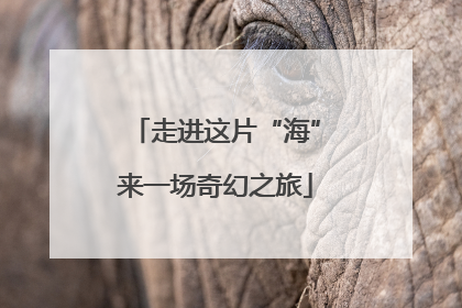 走进这片“海”来一场奇幻之旅