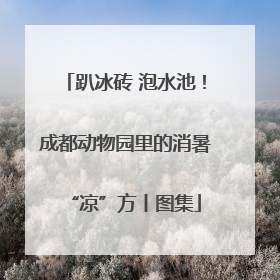 趴冰砖 泡水池！成都动物园里的消暑“凉”方丨图集