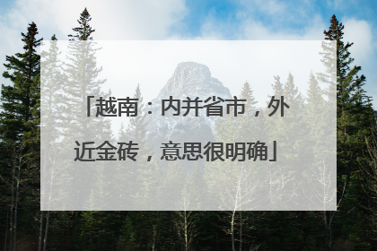 越南：内并省市，外近金砖，意思很明确