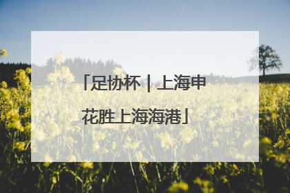 足协杯｜上海申花胜上海海港