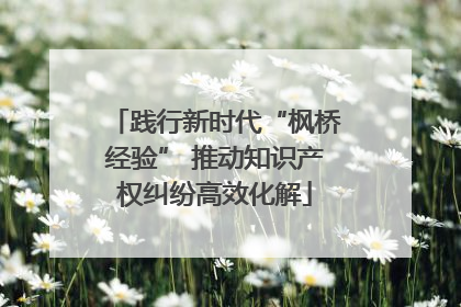 践行新时代“枫桥经验” 推动知识产权纠纷高效化解