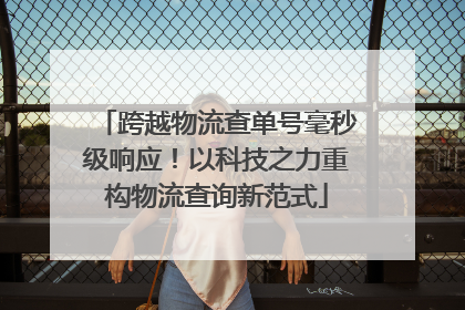 跨越物流查单号毫秒级响应！以科技之力重构物流查询新范式