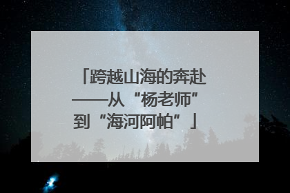 跨越山海的奔赴——从“杨老师”到“海河阿帕”