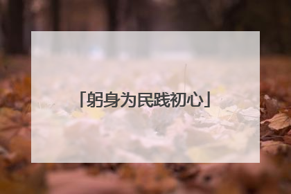 躬身为民践初心