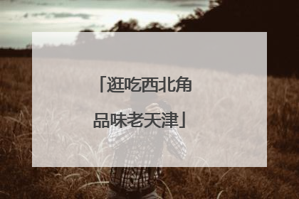 逛吃西北角 品味老天津