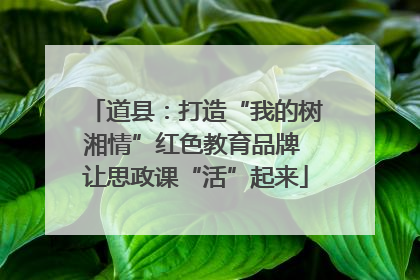 道县：打造“我的树湘情”红色教育品牌 让思政课“活”起来