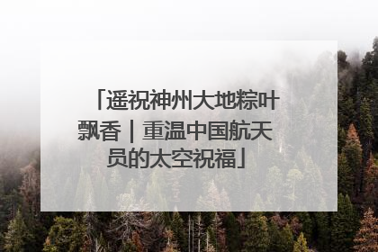 遥祝神州大地粽叶飘香｜重温中国航天员的太空祝福