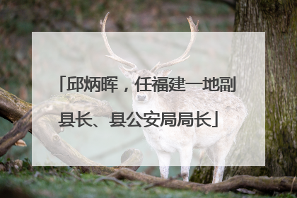 邱炳晖，任福建一地副县长、县公安局局长