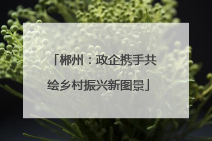 郴州：政企携手共绘乡村振兴新图景