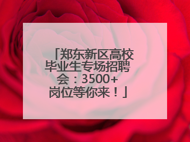 郑东新区高校毕业生专场招聘会：3500+岗位等你来！