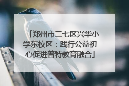 郑州市二七区兴华小学东校区：践行公益初心促进普特教育融合