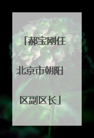 郝宝刚任北京市朝阳区副区长