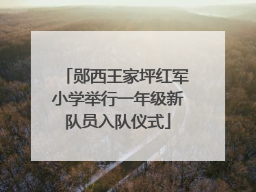 郧西王家坪红军小学举行一年级新队员入队仪式