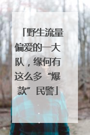 野生流量偏爱的一大队，缘何有这么多“爆款”民警