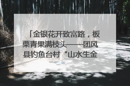 金银花开致富路，板栗青果满枝头——团风县钓鱼台村“山水生金”谱写共富新篇章