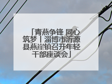 青燕争锋 同心筑梦丨淄博市沂源县燕崖镇召开年轻干部座谈会