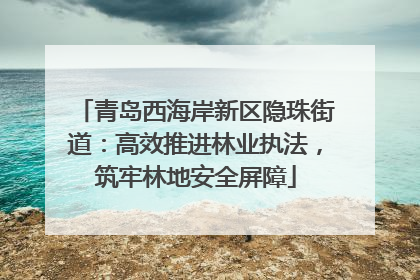 青岛西海岸新区隐珠街道：高效推进林业执法，筑牢林地安全屏障