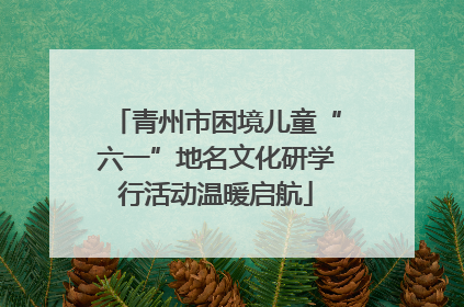 青州市困境儿童“六一”地名文化研学行活动温暖启航