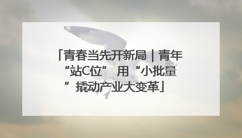 青春当先开新局｜青年“站C位” 用“小批量”撬动产业大变革