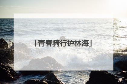 青春骑行护林海