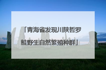 青海省发现川陕哲罗鲑野生自然繁殖种群