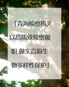 青海检察机关以高质效检察履职 做实高原生物多样性保护