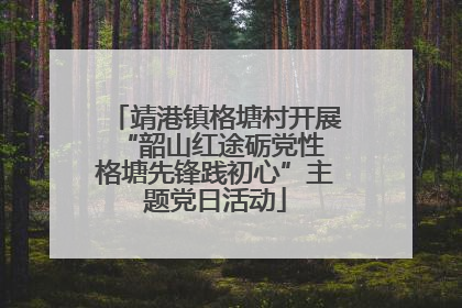 靖港镇格塘村开展“韶山红途砺党性 格塘先锋践初心”主题党日活动