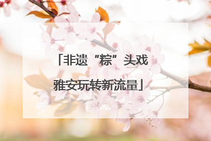 非遗“粽”头戏 雅安玩转新流量