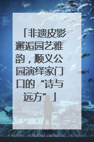 非遗皮影邂逅园艺雅韵，顺义公园演绎家门口的“诗与远方”
